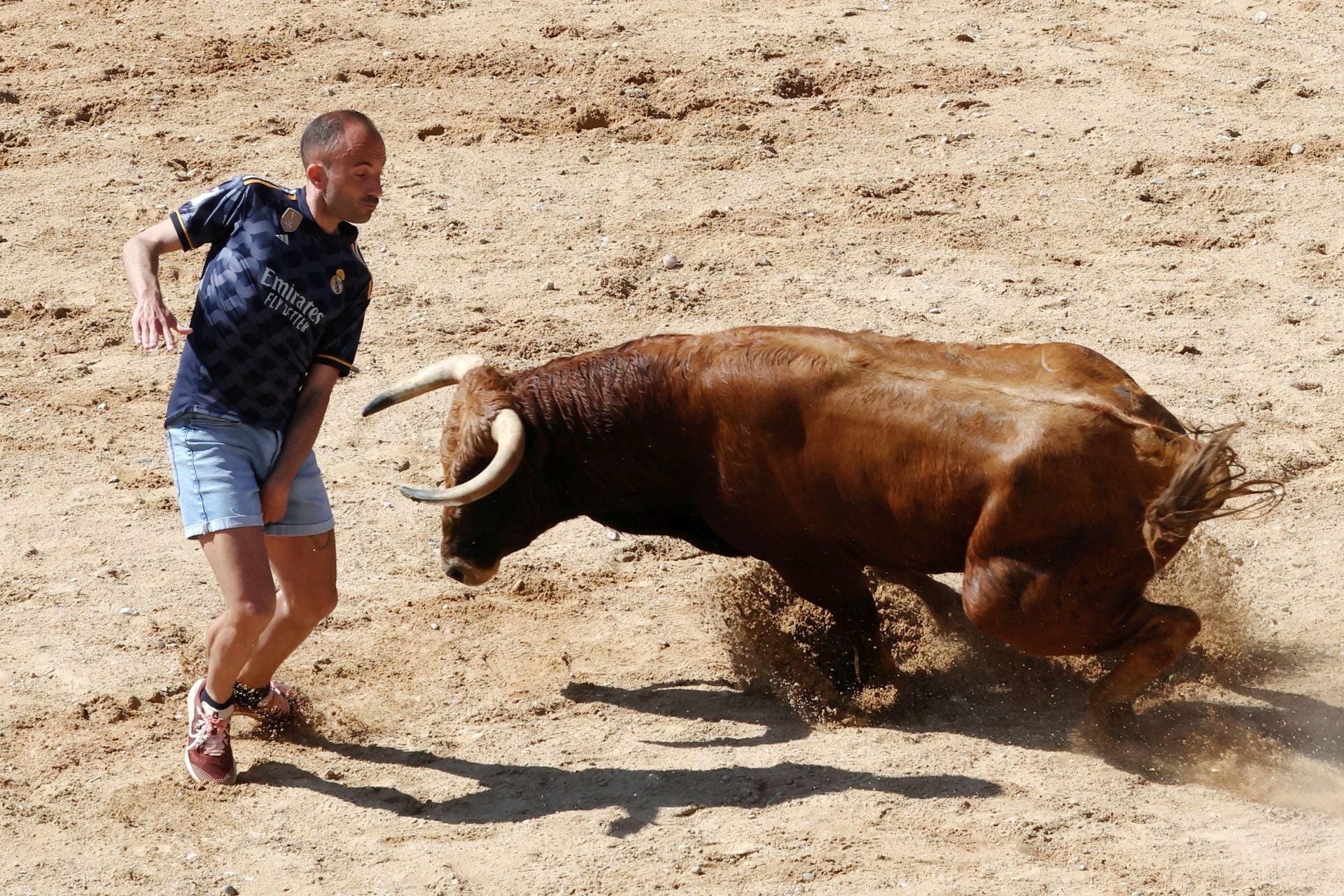 Las imágenes del encierro y capea de este domingo en Peñafiel