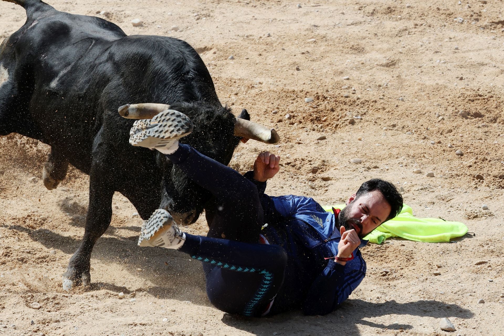 Las imágenes del encierro y capea de este domingo en Peñafiel