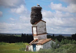 Estructura con la torre inclinada y los tres nidos con una cigüeña y varios cigoñinos.