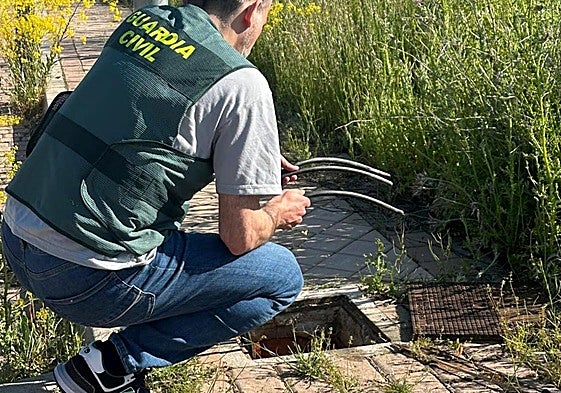 Un momento de la investigación.