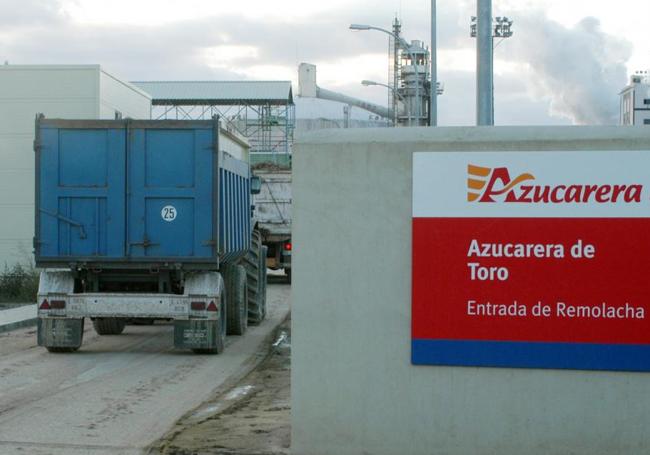 Camiones de remolacha entran a la azucarera de Toro.