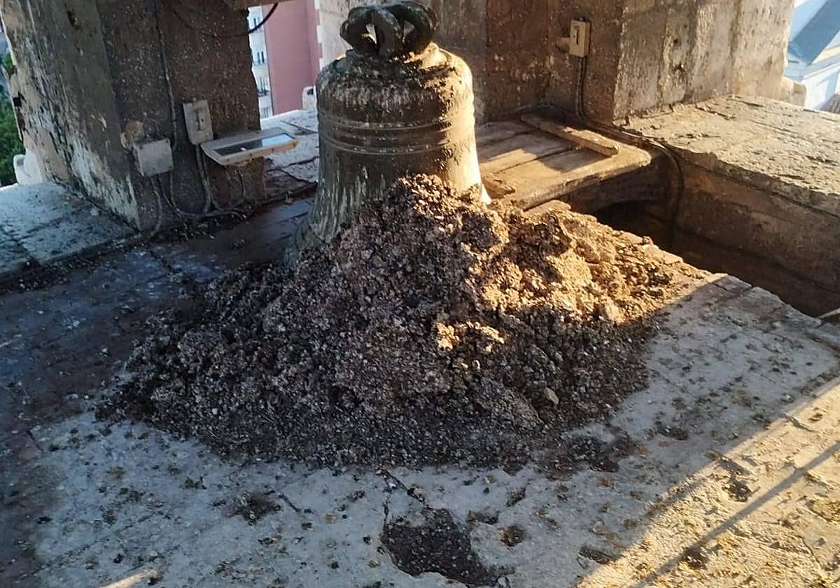 Imagen publicada por la compañía en sus redes sociales, con la torre de La Antigua llena de excrementos de palomas.
