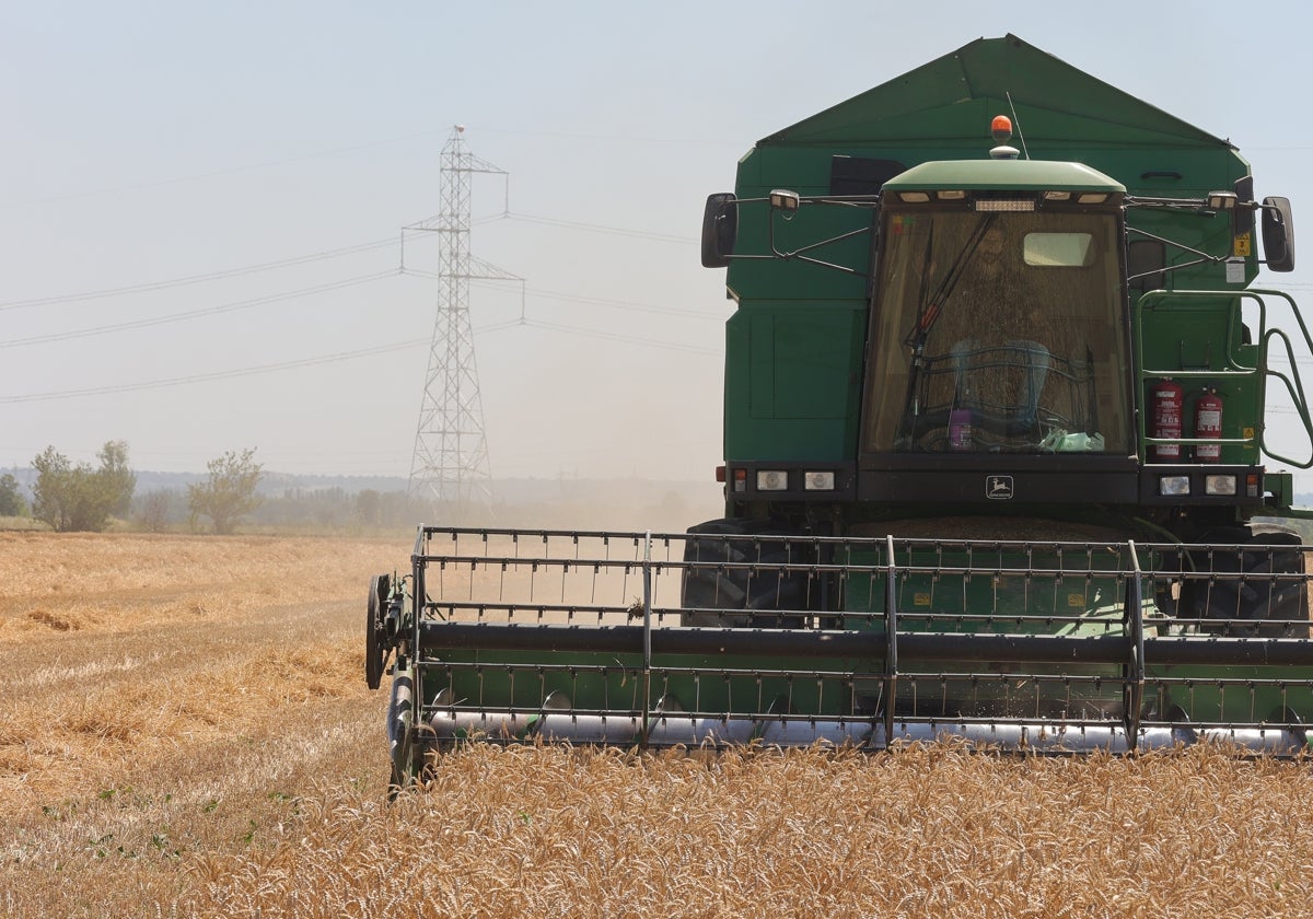 CCOO reitera a la Junta que cofinancie el Programa de Fomento de Empleo Agrario en zonas deprimidas