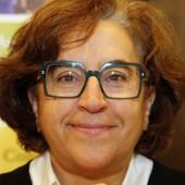 Imagen - «La clave es analizar la demanda que tiene cada municipio y cómo se puede ajustar el servicio ofertado a las necesidades reales»
