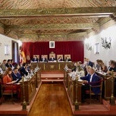 Pleno de la Diputación de Valladolid celebrado este viernes en el Palacio de Pimentel.