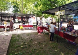 Vista de los puestos de la Feria Rural del Libro.