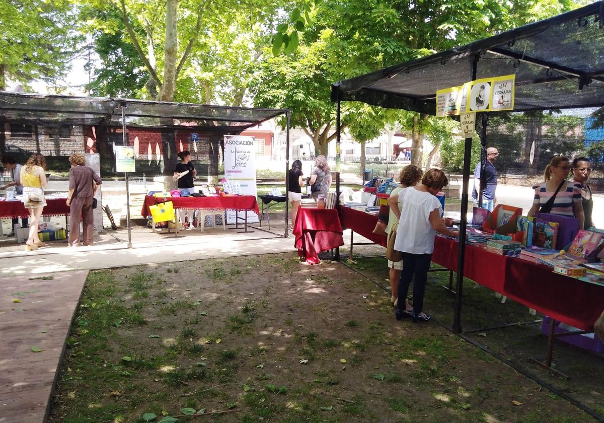 Pedrajas de San Esteban celebra con puestos de venta y presentaciones su XI Feria Rural del Libro
