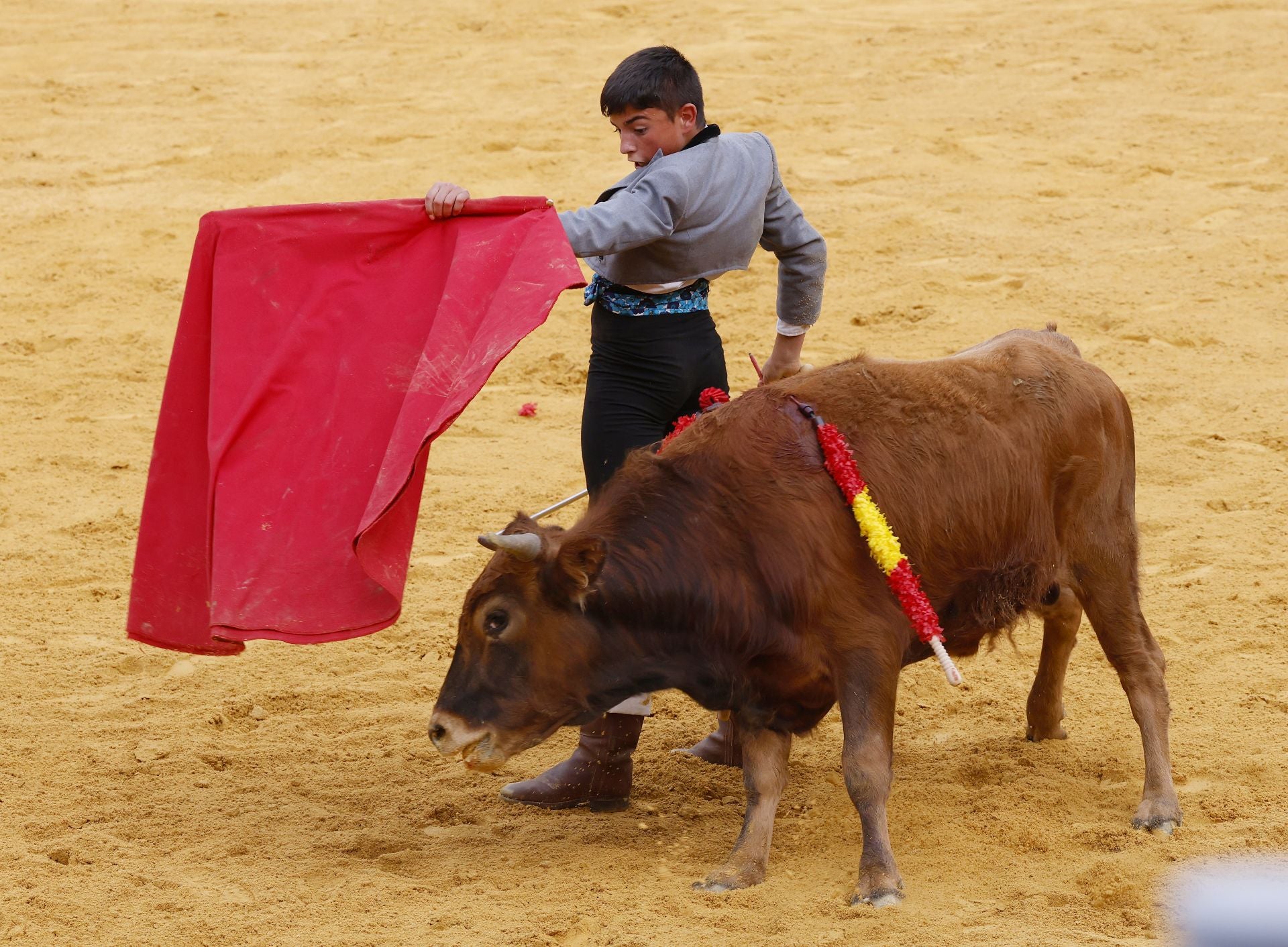 La Feria Chica, prólogo de San Antolín en Campos Góticos