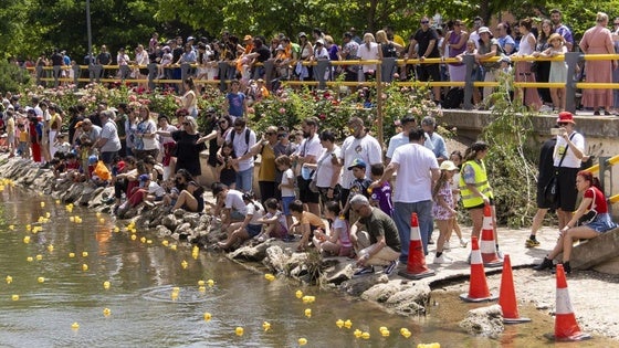 Un público muy numeroso, con los niños como protagonistas, ha seguido con interés la XVIICarrera de Patitos por la Esgueva organizada dentro de la Semana Cultural de Pajarillos.