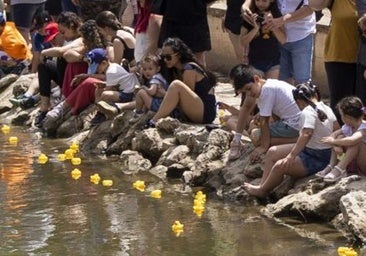 La carrera solidaria de patitos de goma llena el río Esgueva de amarillo y sonrisas