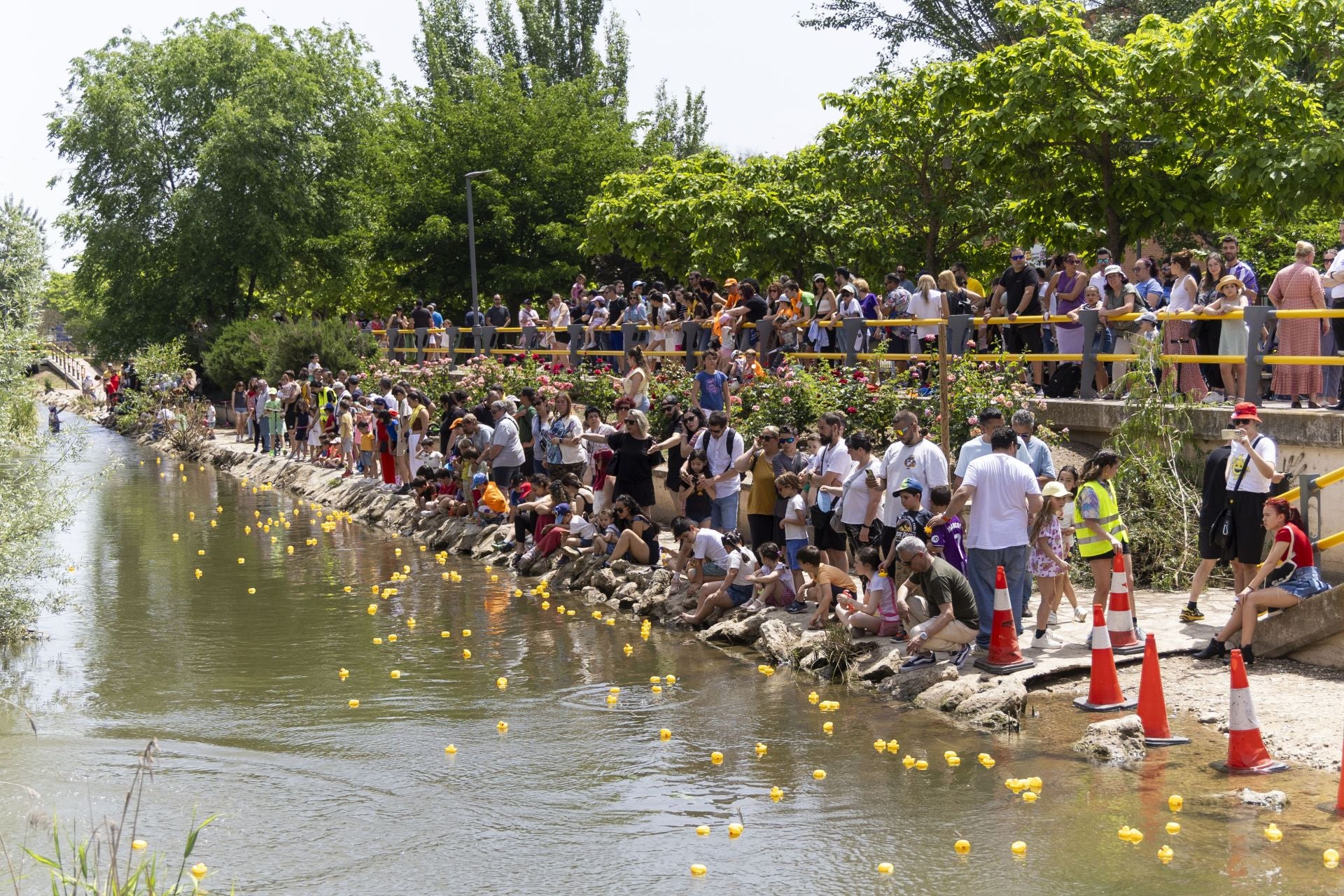 Carrera de patitos de goma solidaria en el Esgueva