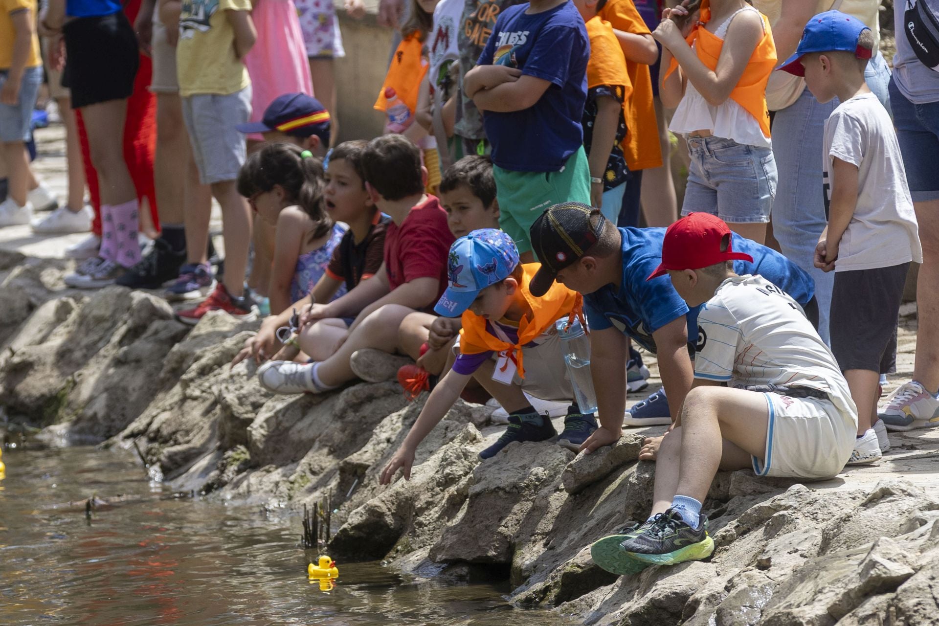 Carrera de patitos de goma solidaria en el Esgueva
