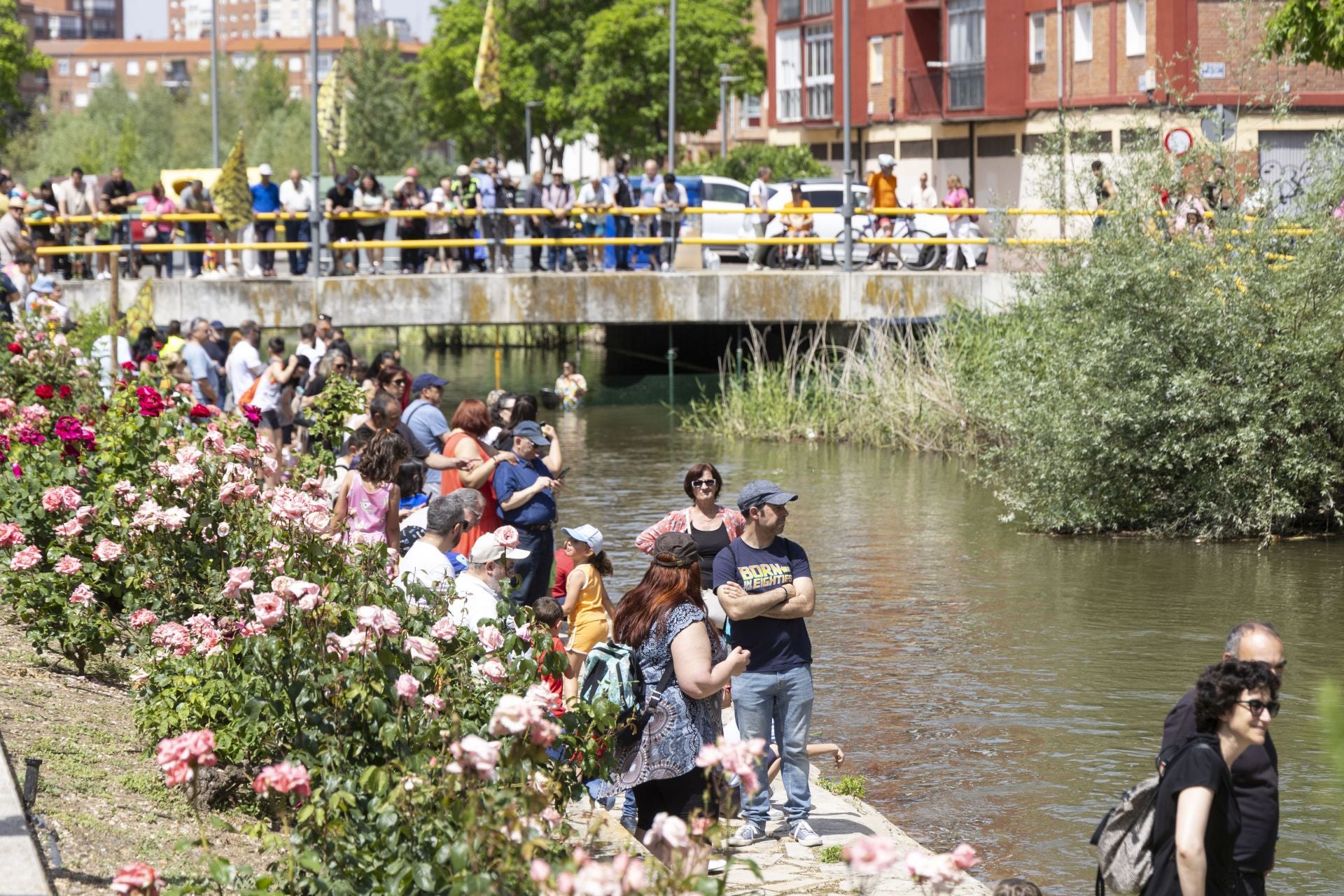Carrera de patitos de goma solidaria en el Esgueva