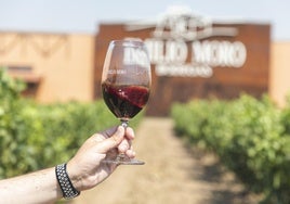 Bodegas Emilio Moro, en imagen de archivo.