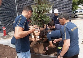 Los compañeros de Fernando Navarro plantan un árbol en su recuerdo.