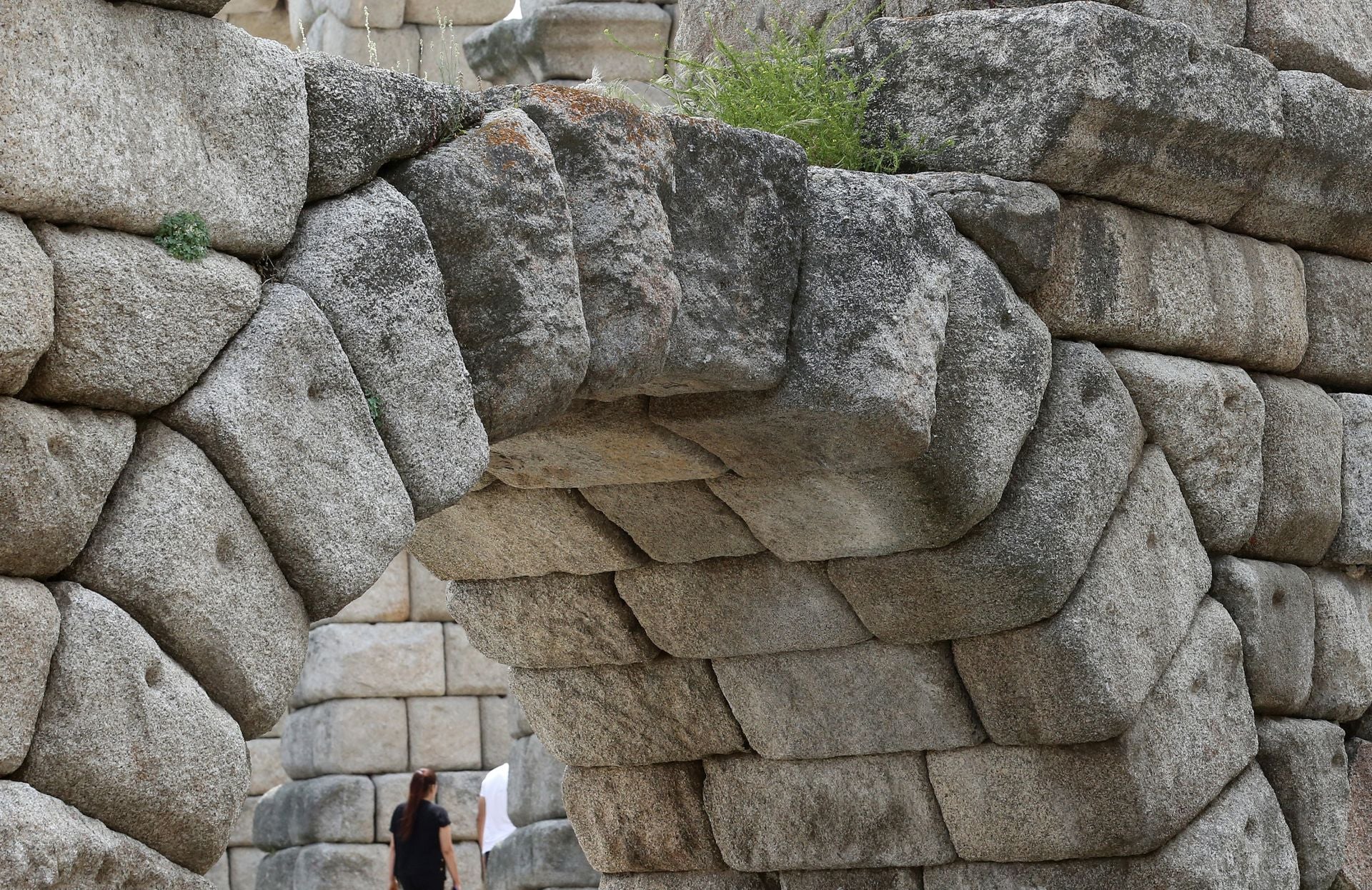 Fotos de la vegetación que crece en el Acueducto de Segovia
