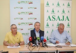 De izquierda a derecha, Lorenzo Rivera (Coag), Donacionado Dujo (Asaja) y Aurelio González (UPA).