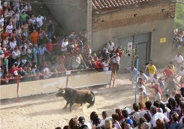 Celebración del Toro Enmaromado de Benavente.