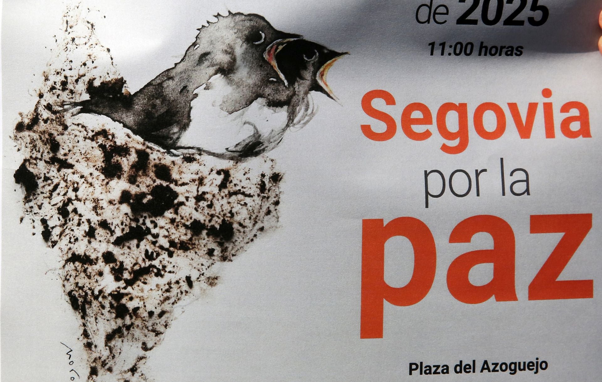 Fotos de la concentración por la paz en Segovia