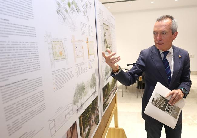 Zarandona muestra el proyecto.