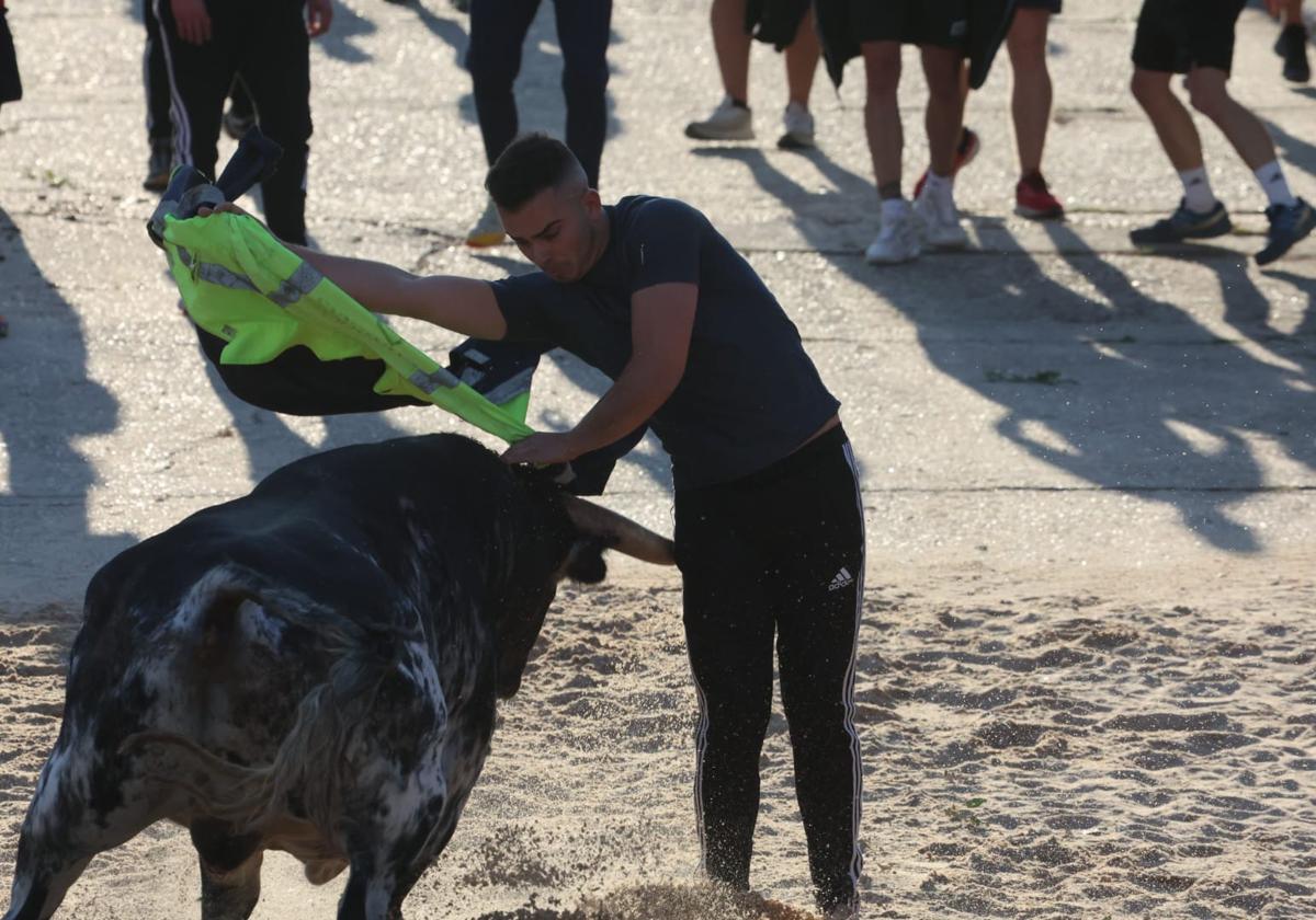 Ajustadísimo quiebro con una chaqueta, durante la suelta en La Parrilla.