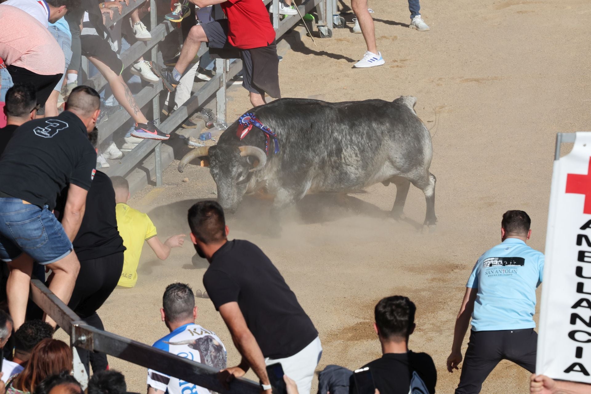 Las imágenes de la fiesta taurina en Medina del Campo