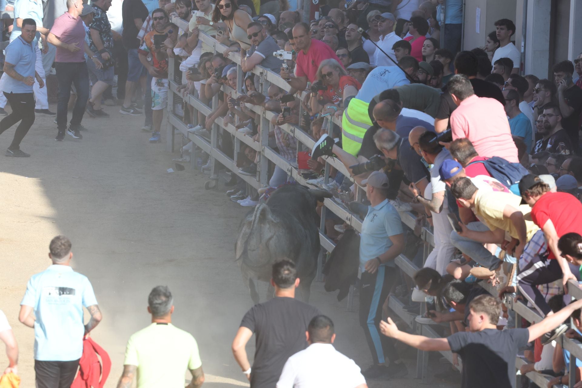 Las imágenes de la fiesta taurina en Medina del Campo