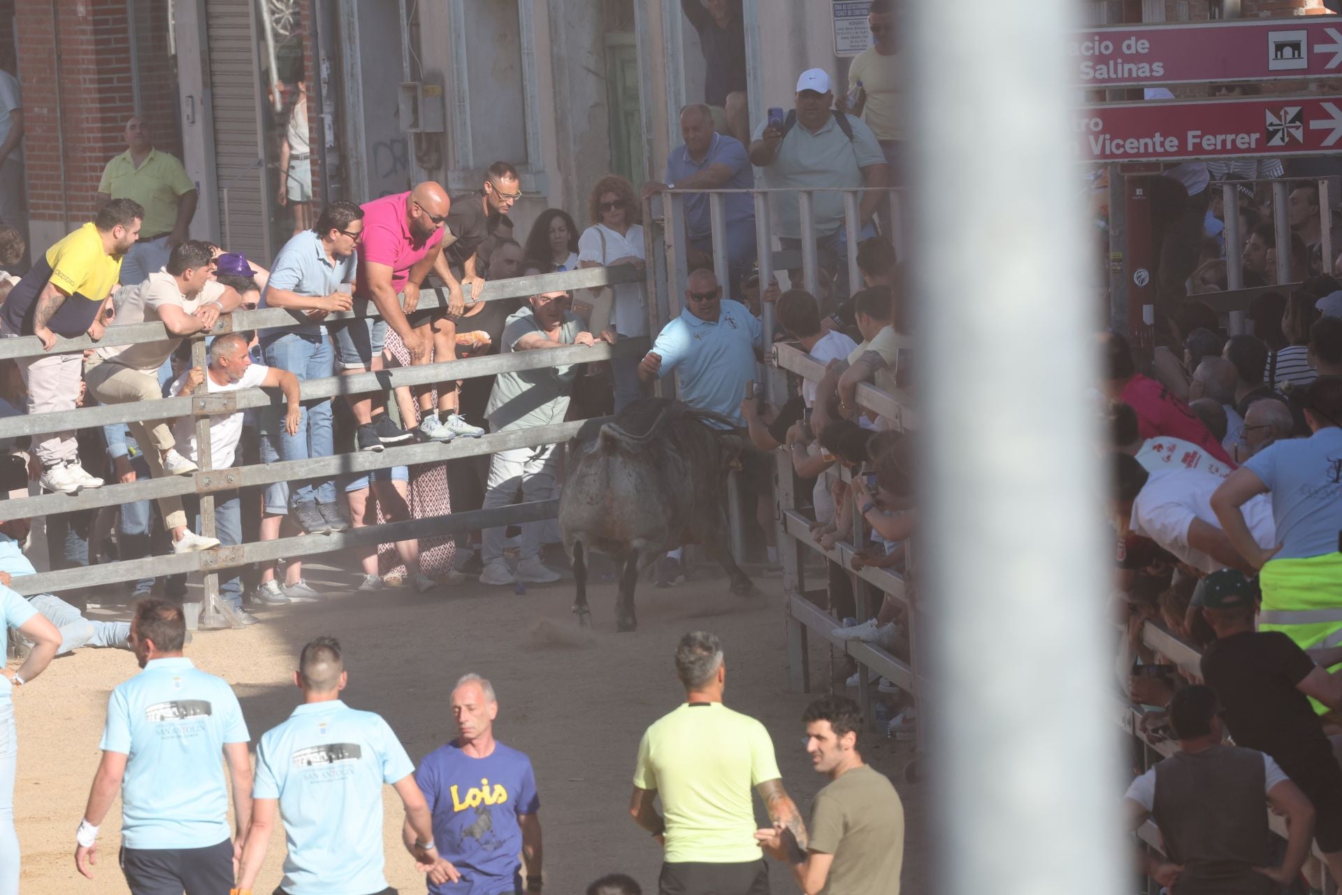 Las imágenes de la fiesta taurina en Medina del Campo