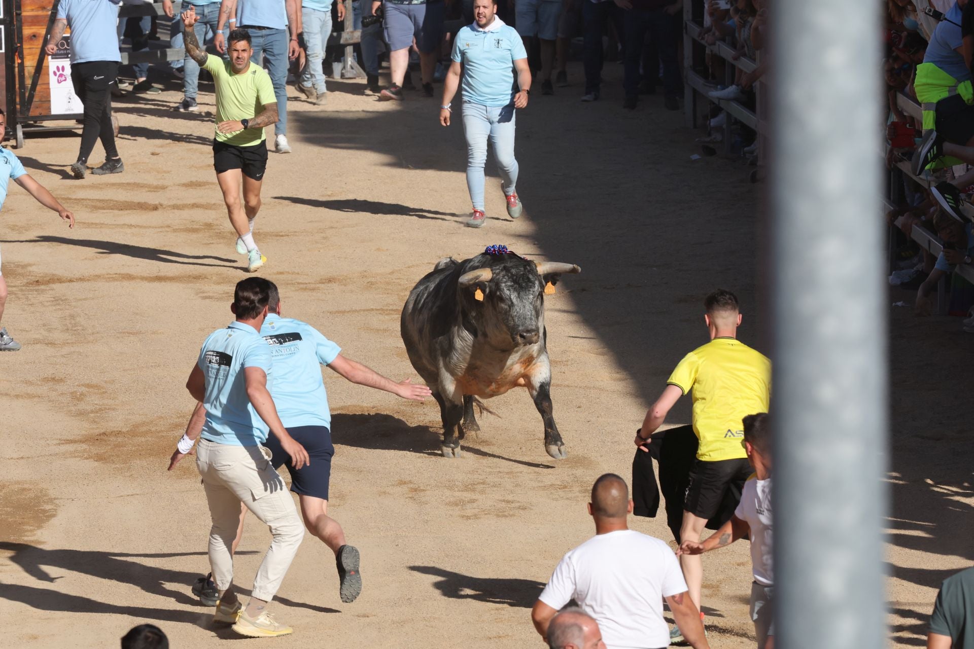 Las imágenes de la fiesta taurina en Medina del Campo