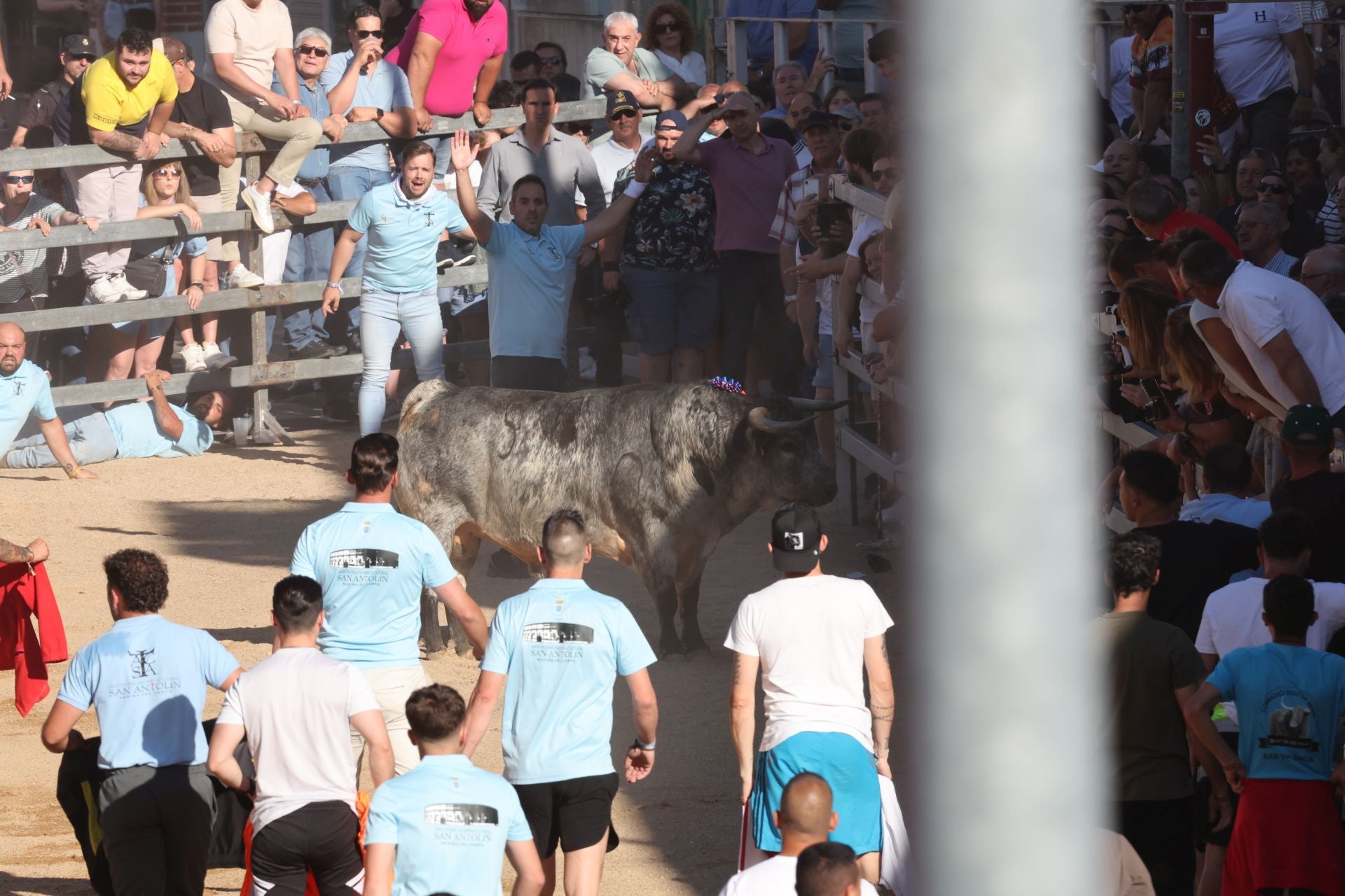 Las imágenes de la fiesta taurina en Medina del Campo