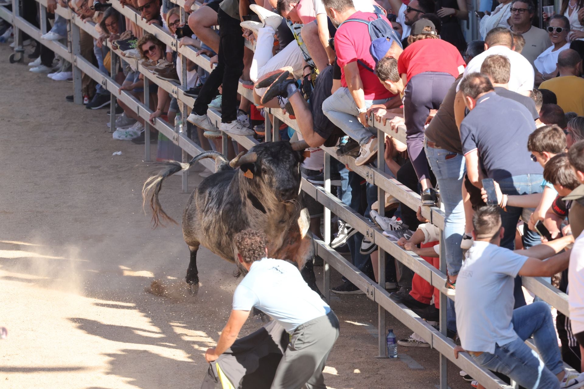 Las imágenes de la fiesta taurina en Medina del Campo