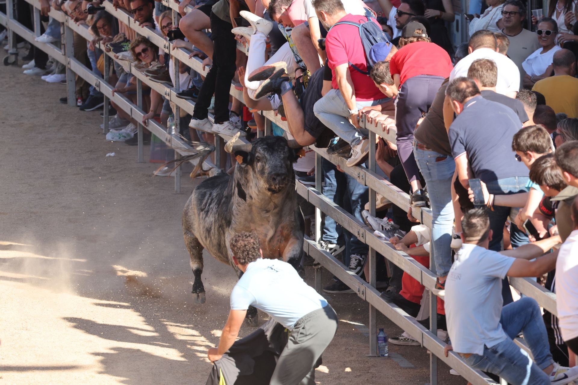 Las imágenes de la fiesta taurina en Medina del Campo