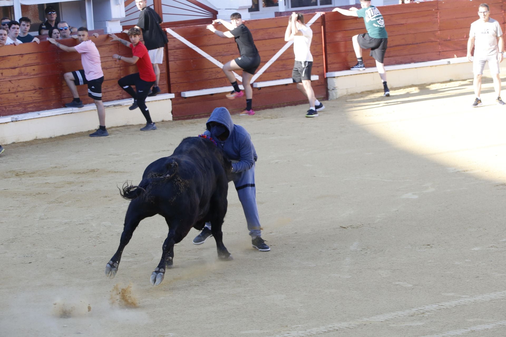 Las imágenes de la cogida en la 15ª edición del Toro de la Feria en Medina del Campo