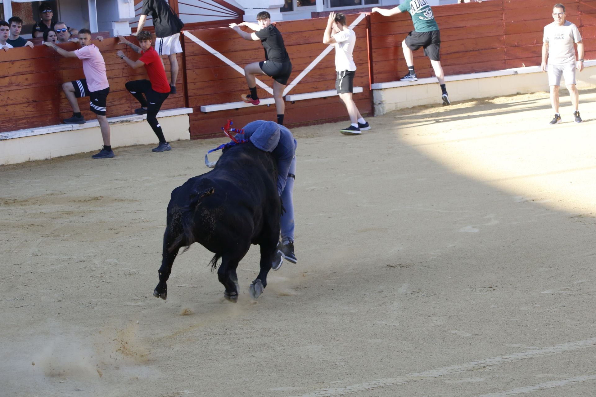 Las imágenes de la cogida en la 15ª edición del Toro de la Feria en Medina del Campo