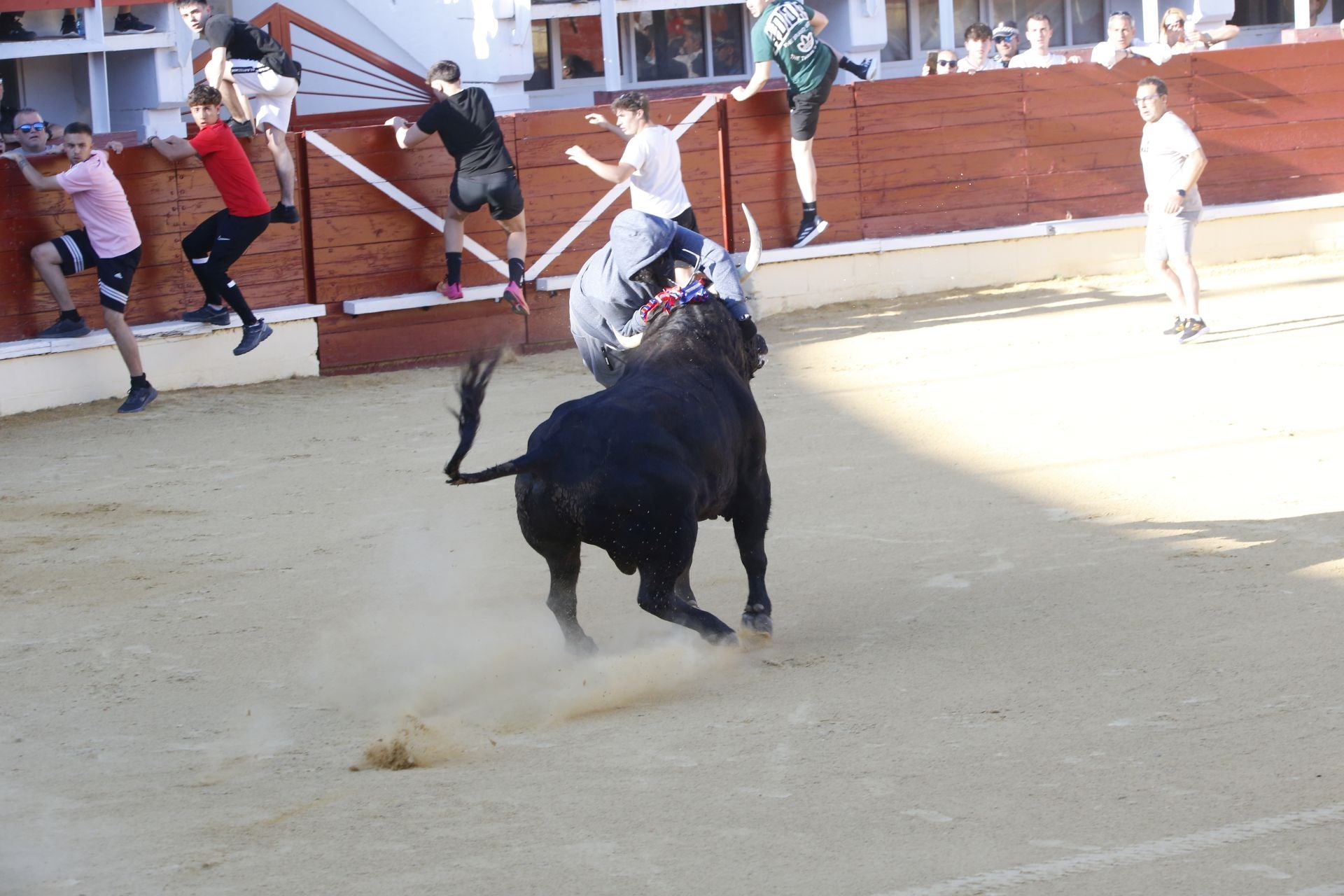 Las imágenes de la cogida en la 15ª edición del Toro de la Feria en Medina del Campo