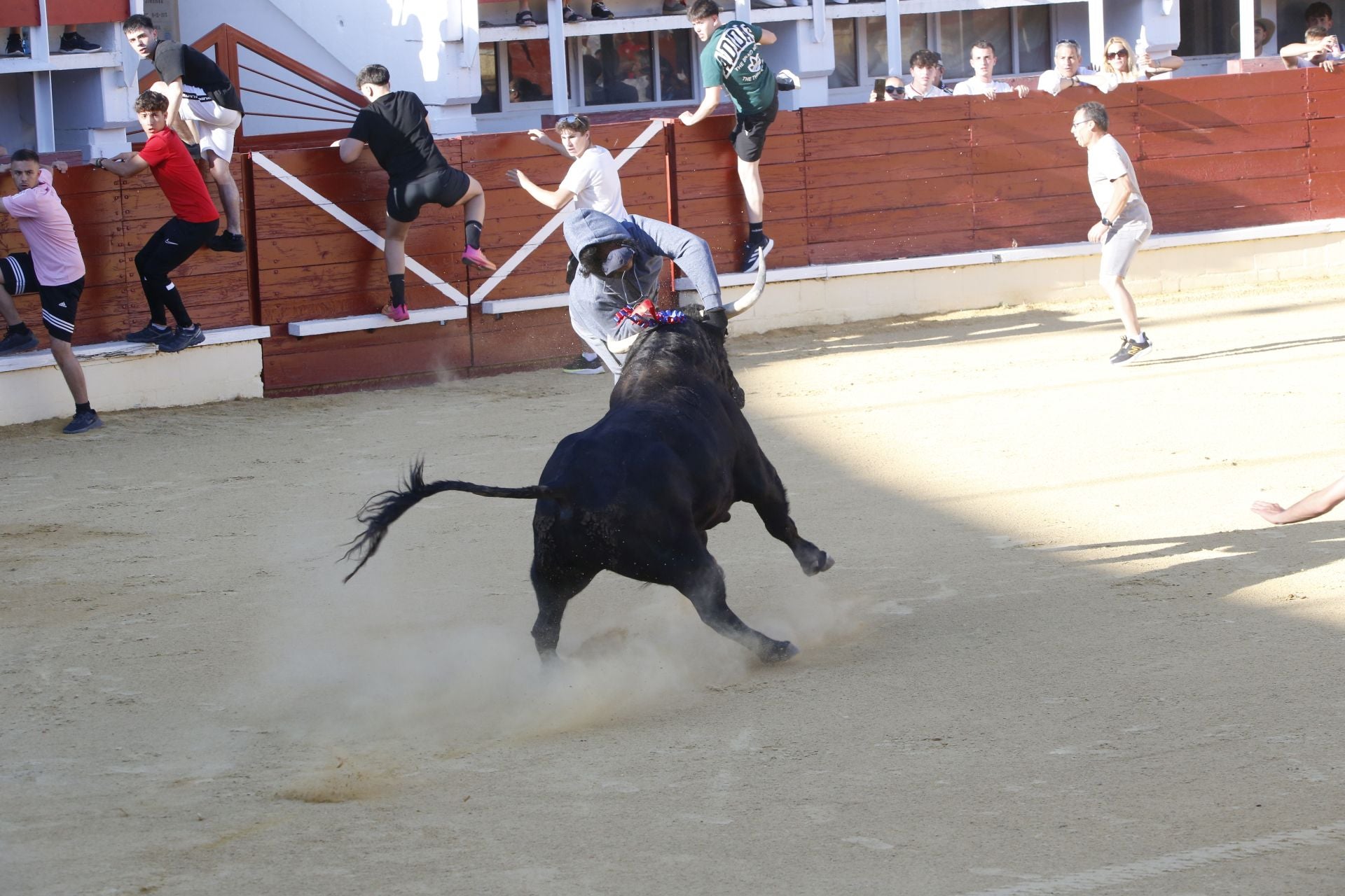 Las imágenes de la cogida en la 15ª edición del Toro de la Feria en Medina del Campo