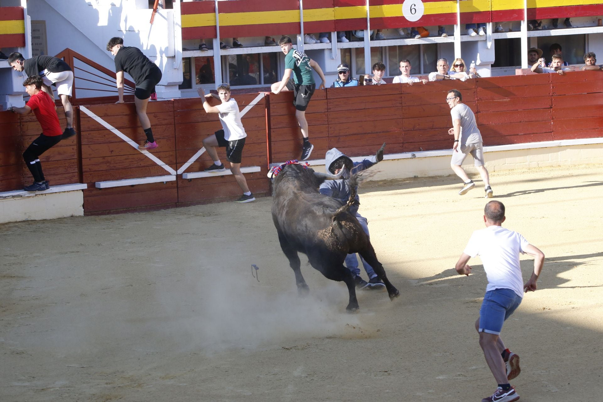 Las imágenes de la cogida en la 15ª edición del Toro de la Feria en Medina del Campo