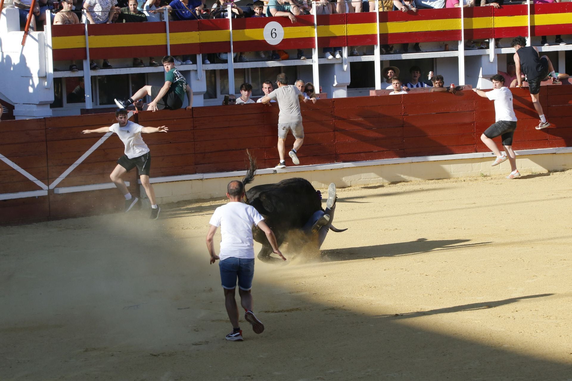 Las imágenes de la cogida en la 15ª edición del Toro de la Feria en Medina del Campo