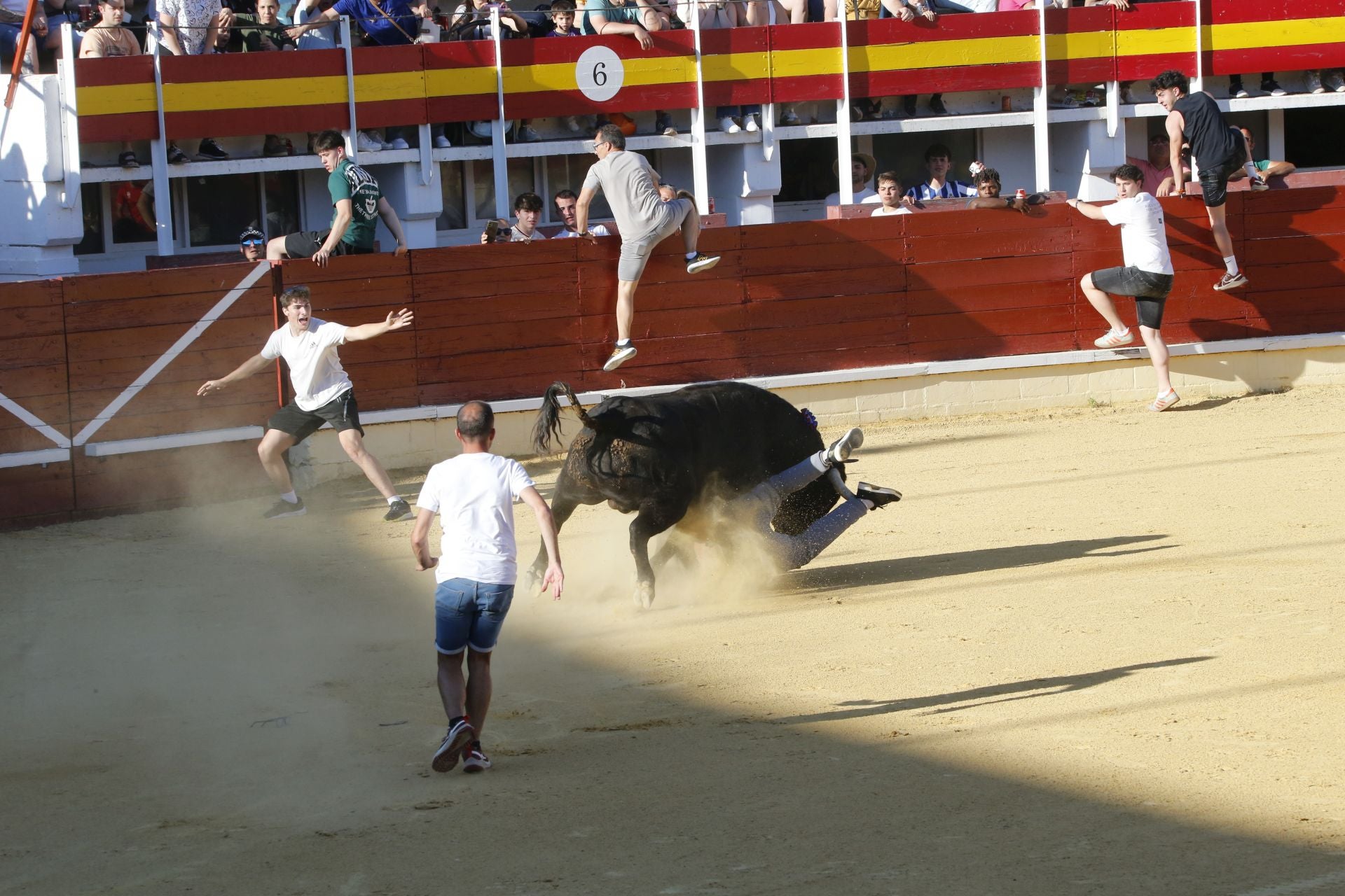 Las imágenes de la cogida en la 15ª edición del Toro de la Feria en Medina del Campo