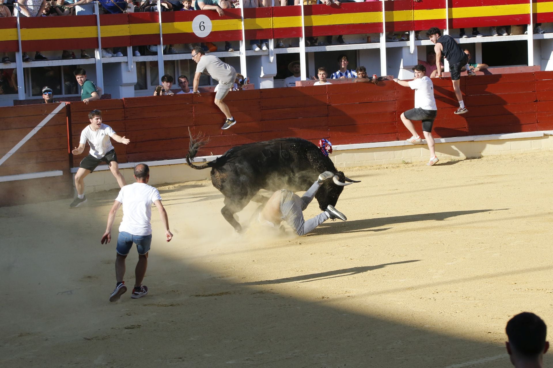 Las imágenes de la cogida en la 15ª edición del Toro de la Feria en Medina del Campo