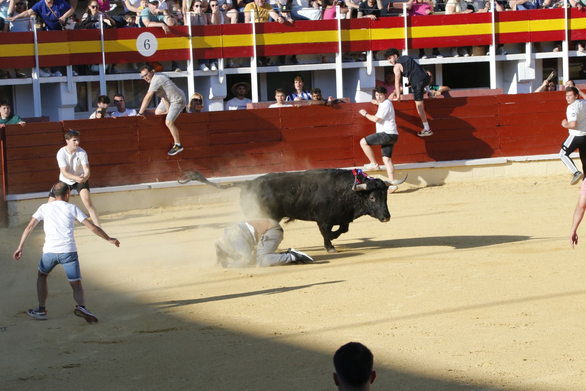 Las imágenes de la cogida en la 15ª edición del Toro de la Feria en Medina del Campo