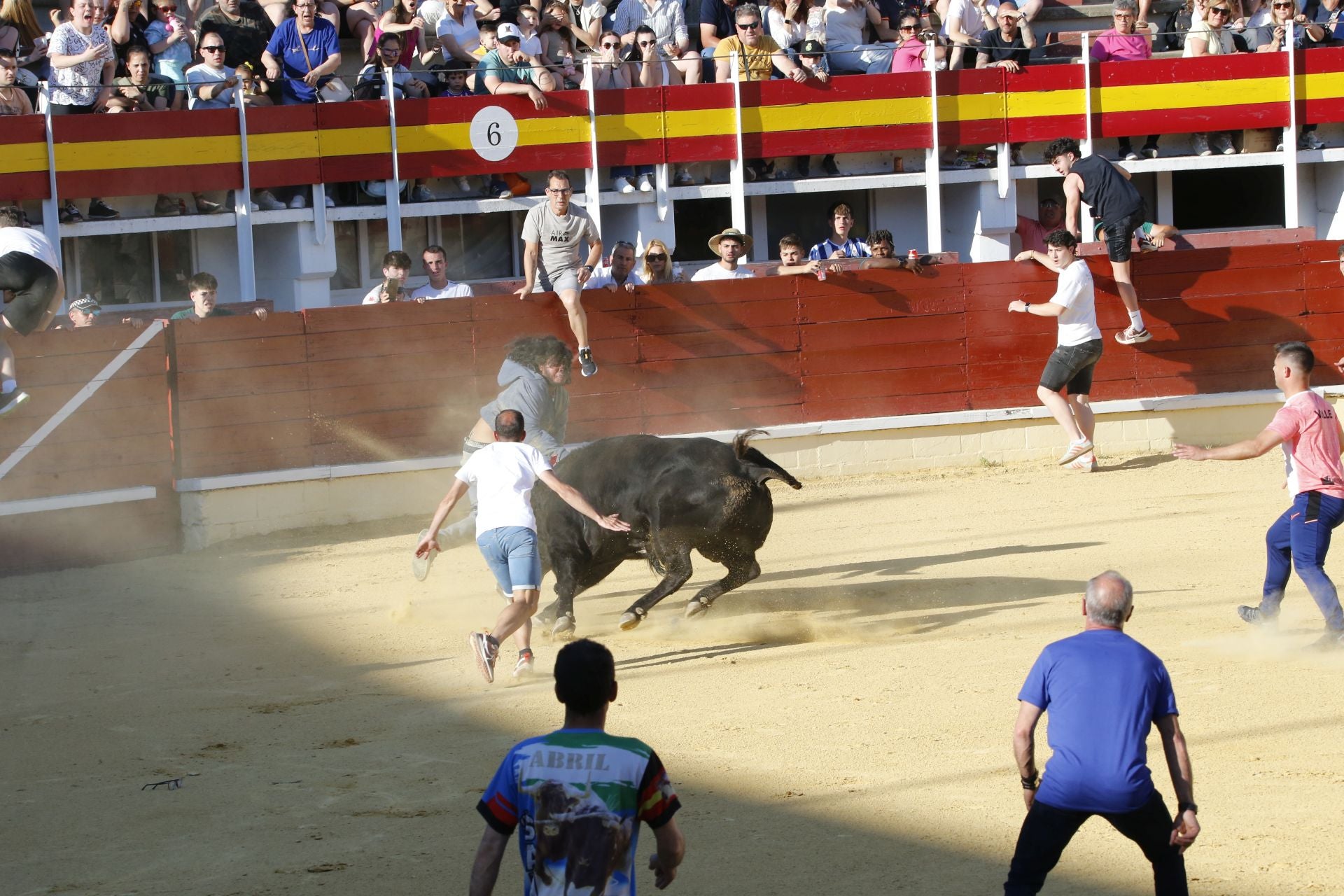 Las imágenes de la cogida en la 15ª edición del Toro de la Feria en Medina del Campo