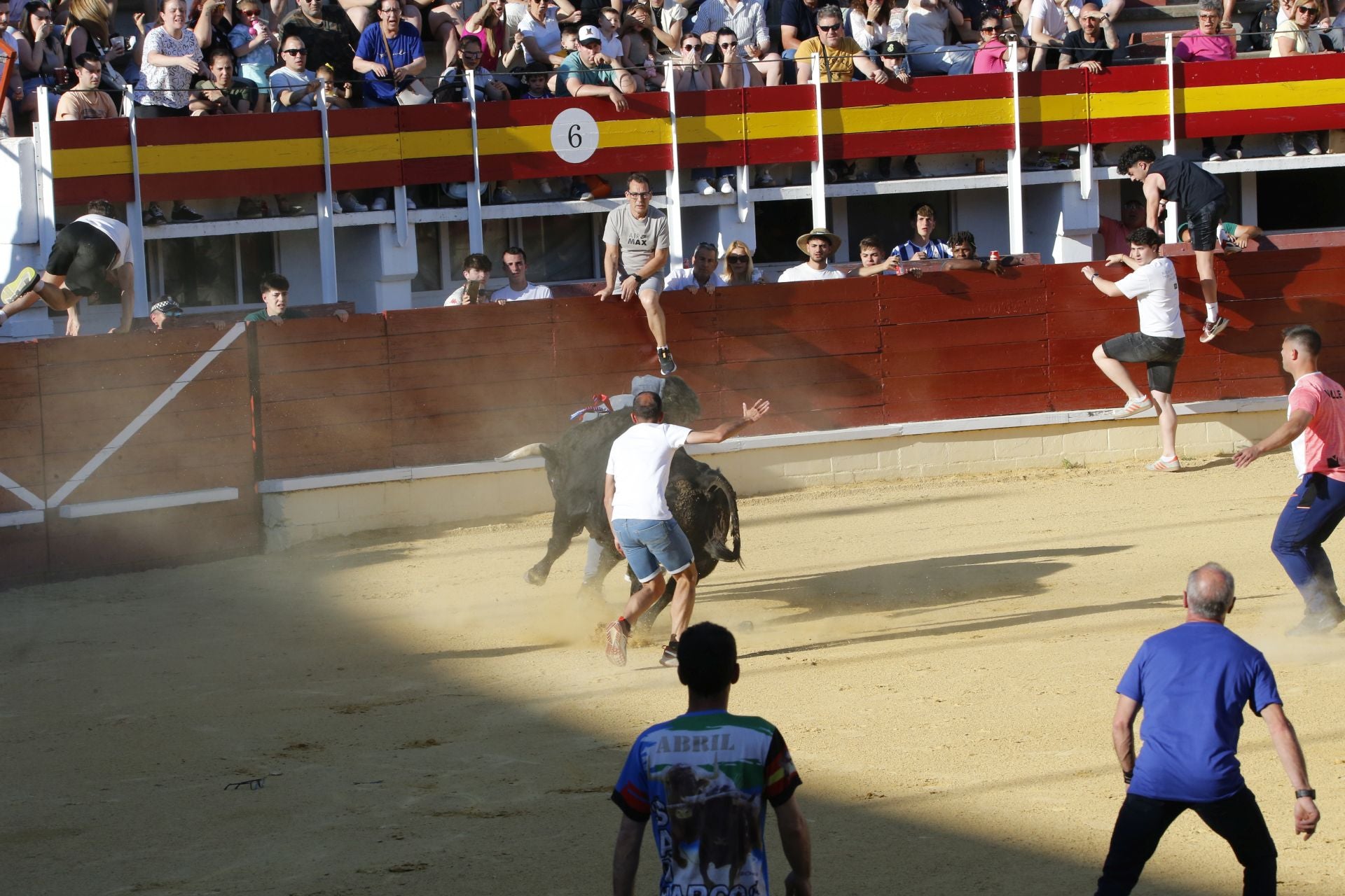 Las imágenes de la cogida en la 15ª edición del Toro de la Feria en Medina del Campo