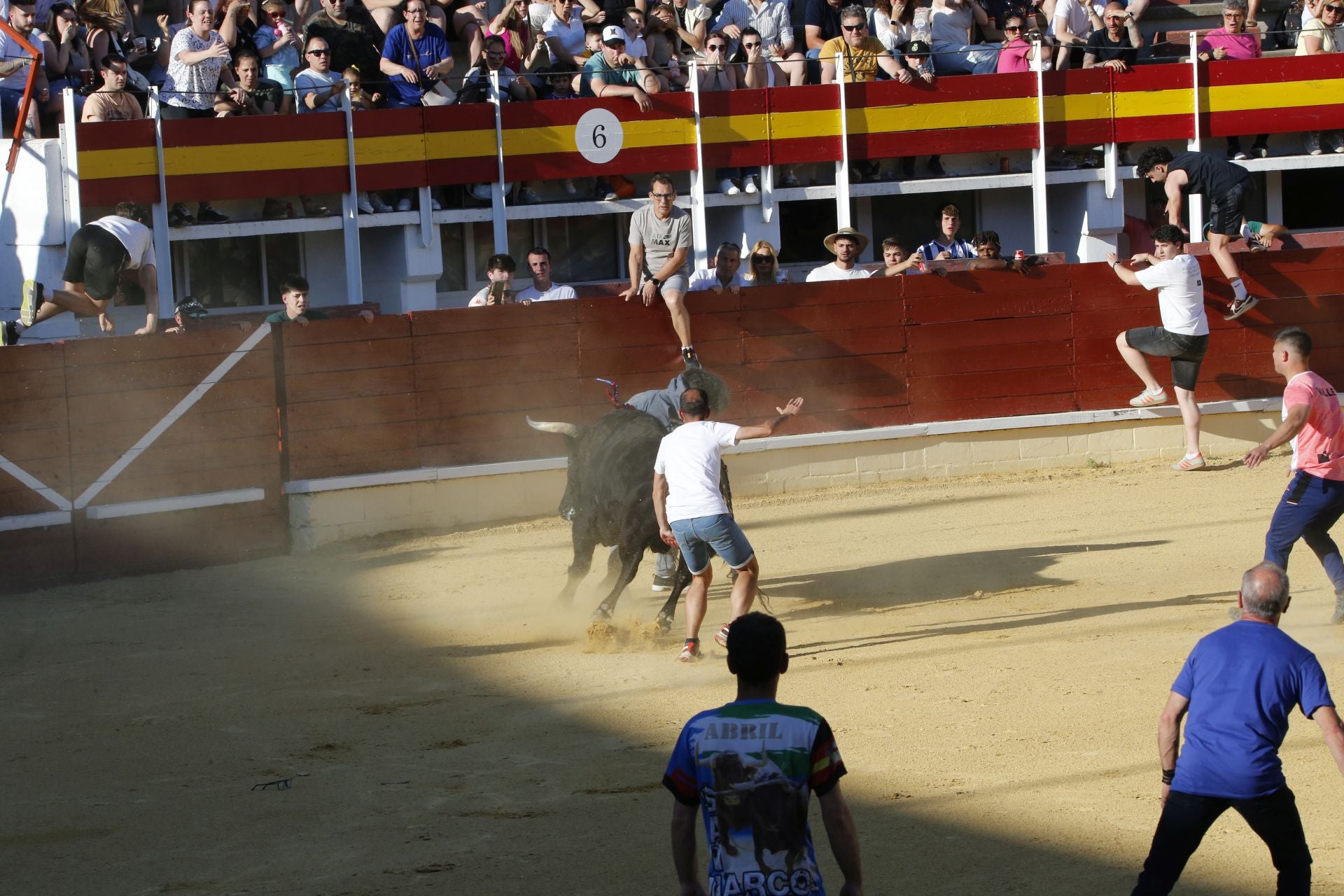 Las imágenes de la cogida en la 15ª edición del Toro de la Feria en Medina del Campo