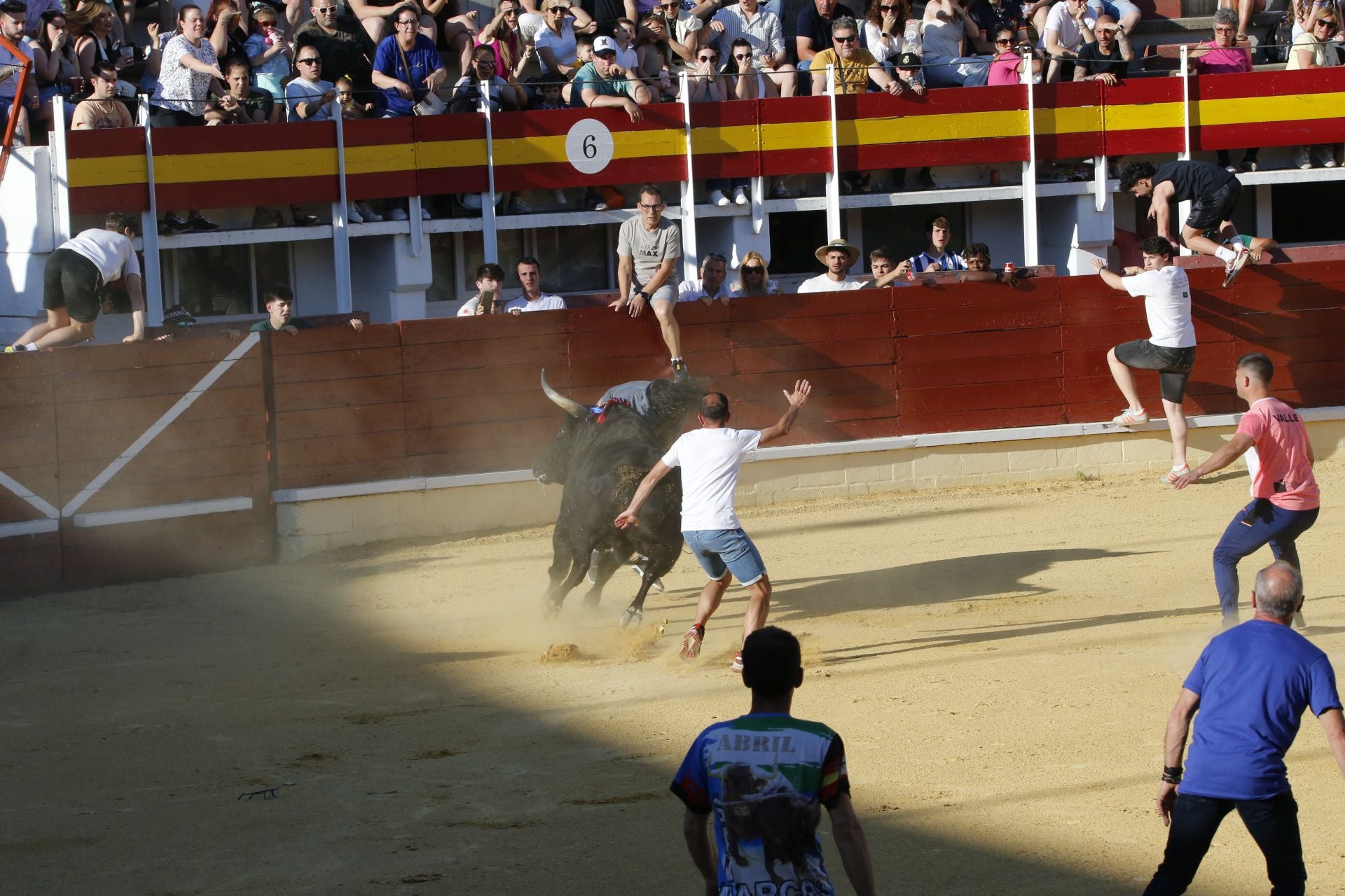 Las imágenes de la cogida en la 15ª edición del Toro de la Feria en Medina del Campo