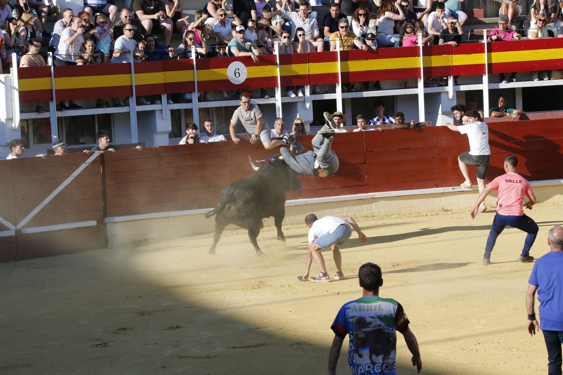 Las imágenes de la cogida en la 15ª edición del Toro de la Feria en Medina del Campo