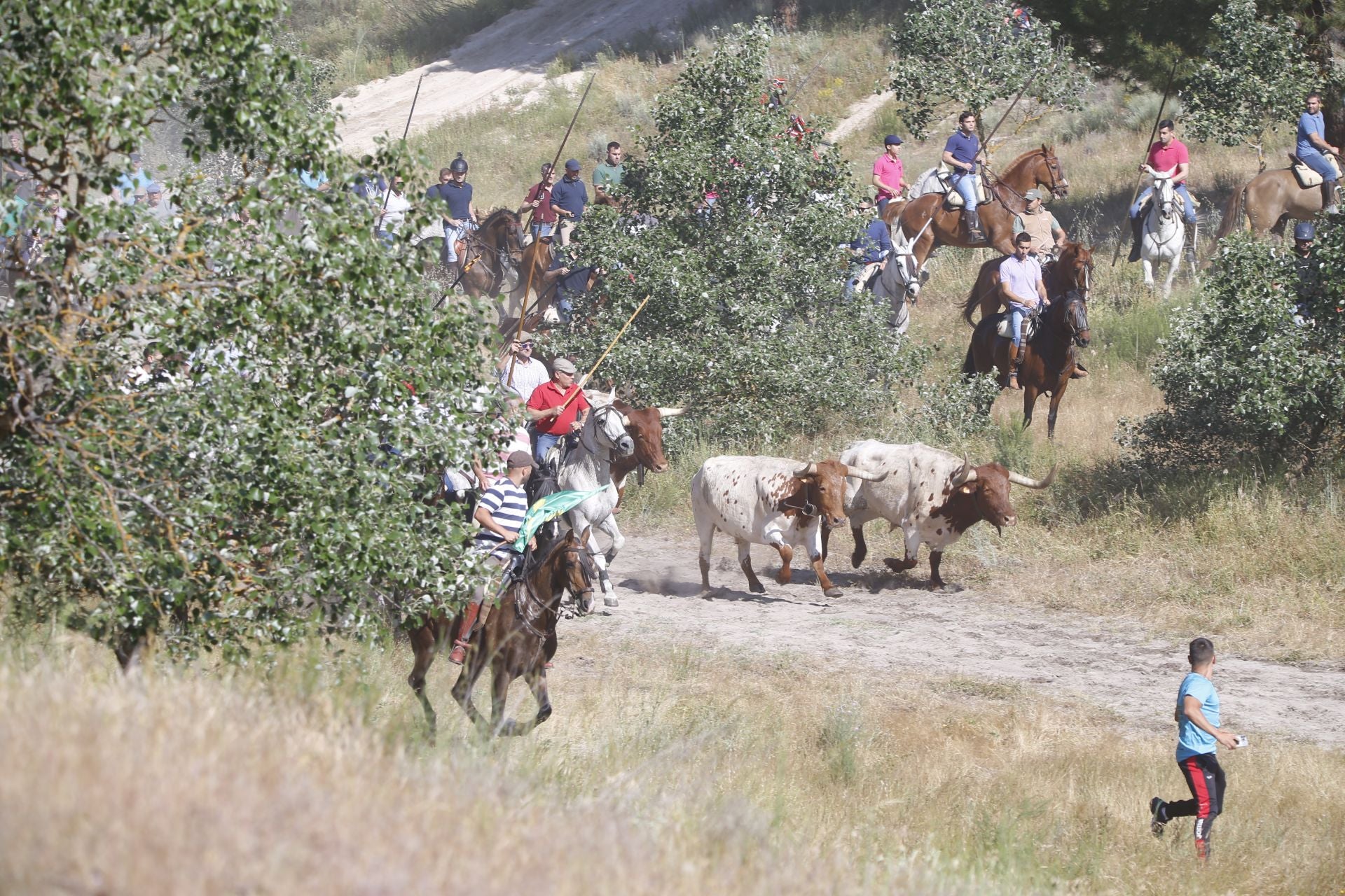 El encierro de La Parrilla, en imágenes