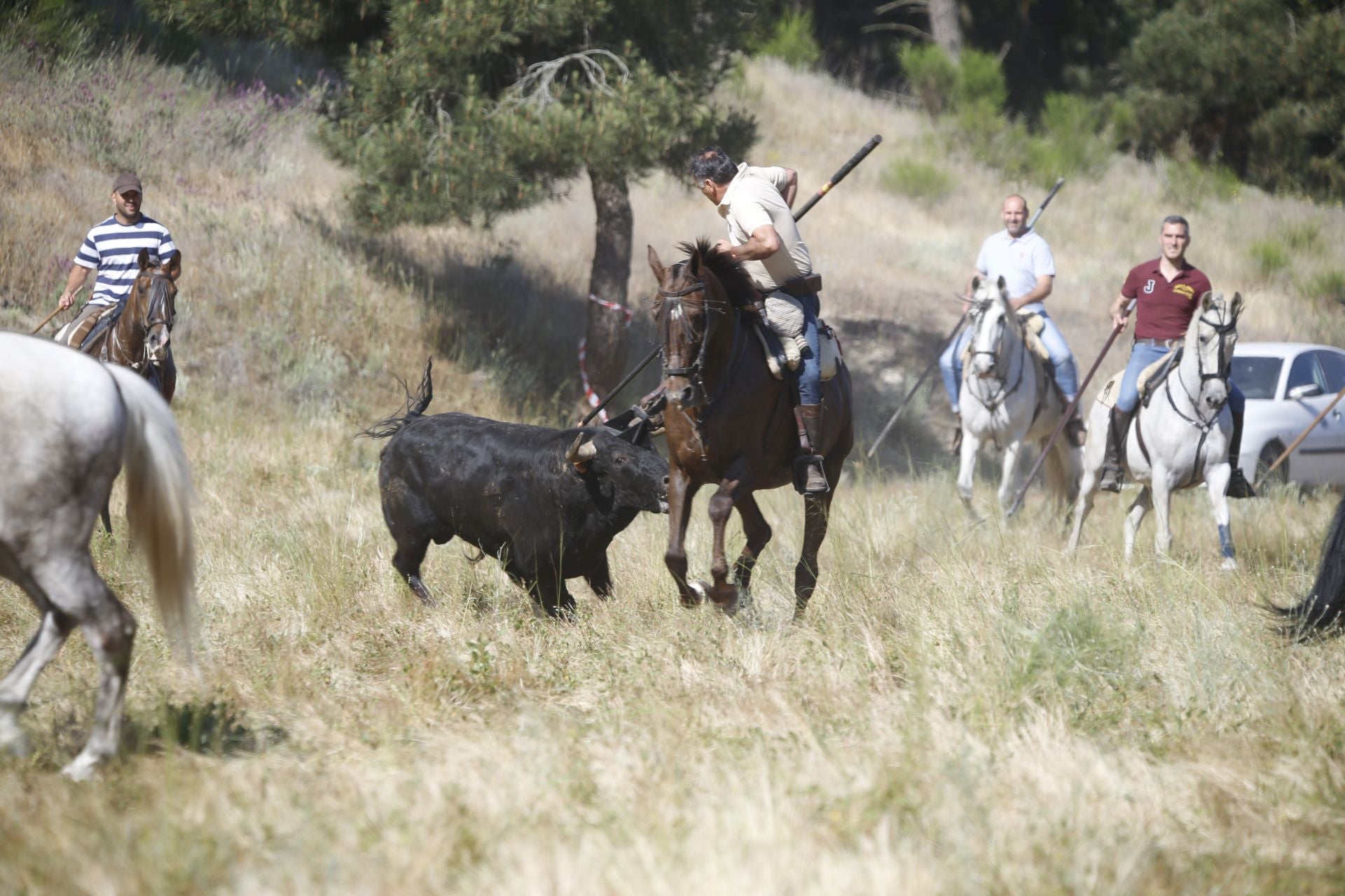 El encierro de La Parrilla, en imágenes