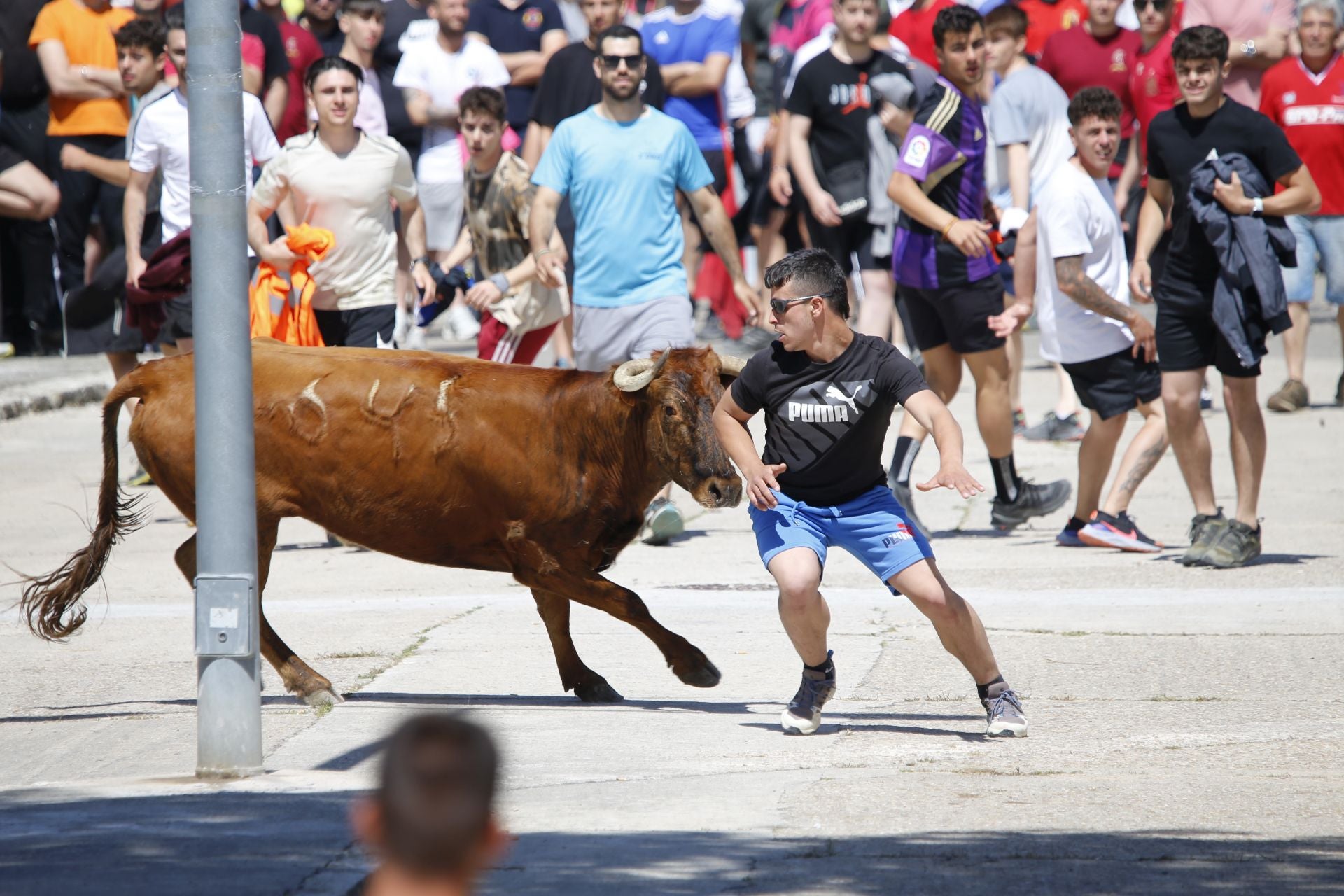 El encierro de La Parrilla, en imágenes