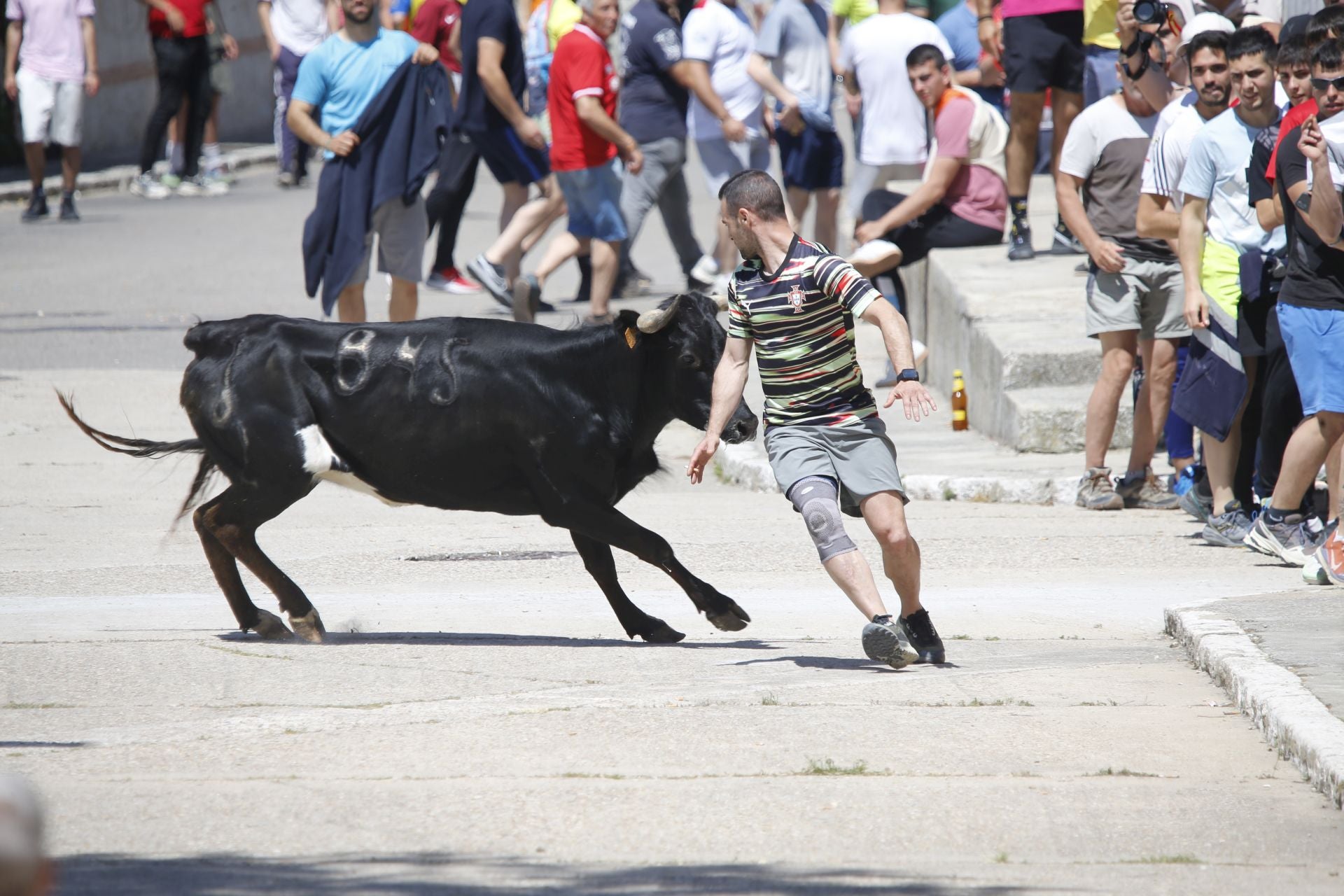 El encierro de La Parrilla, en imágenes